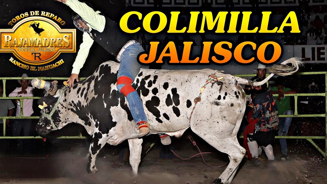 🔥SE SOLTÓ EL DEMONIO🔥 Rancho El Nahuachi de Rene Trujillo VS Escuadrón Vaquero en Colimilla Jal 2026