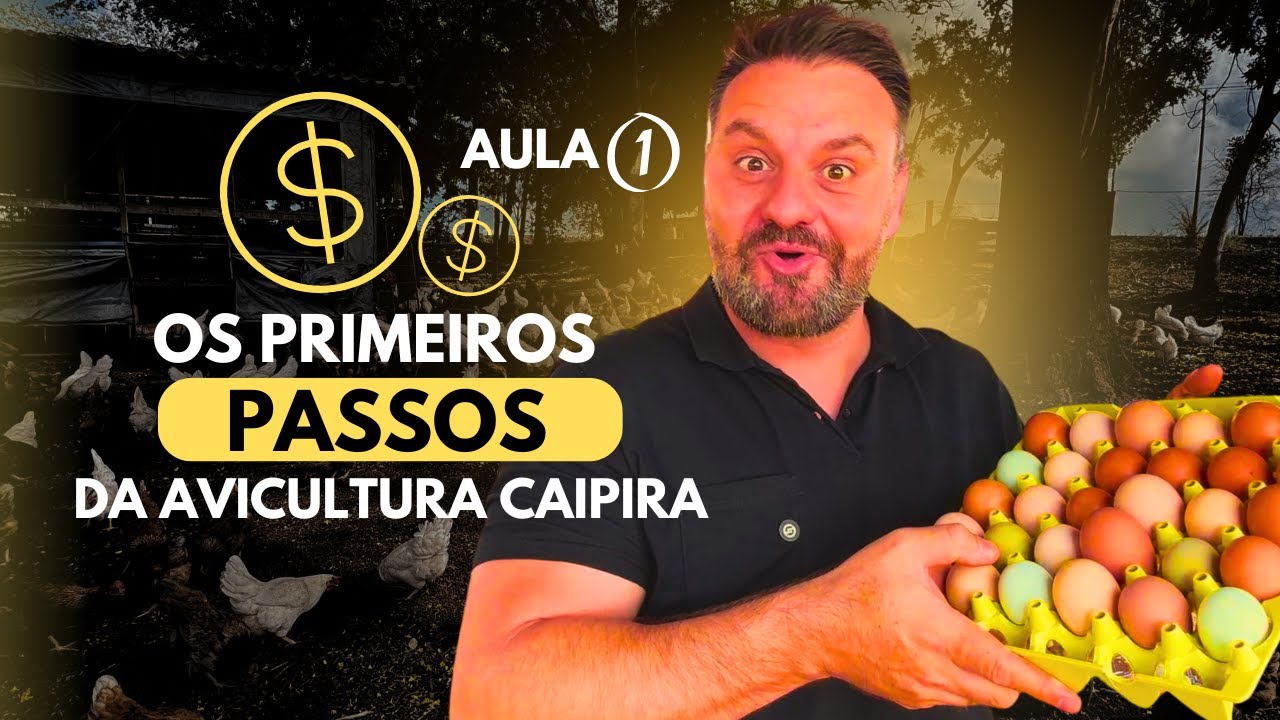 Aula 1 - Os Primeiros Passos da Avicultura Caipira