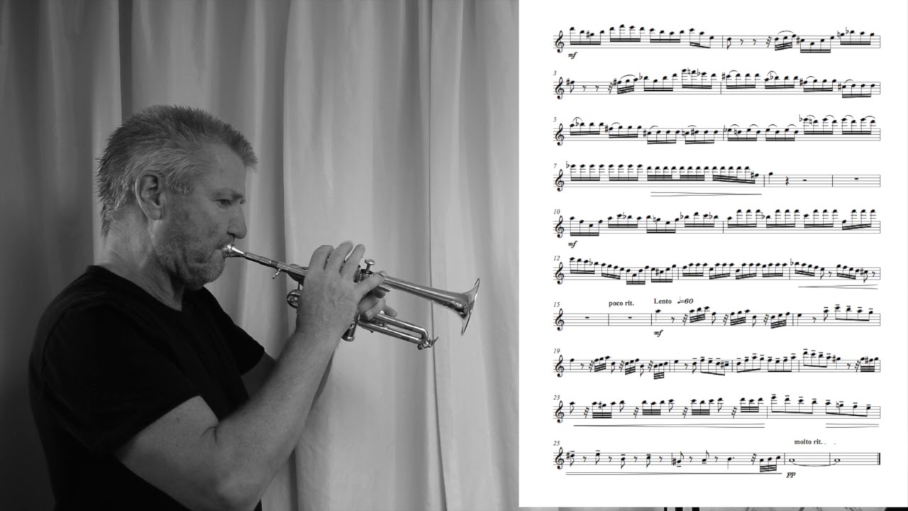 Huug Steketee Adams P1 Piccolo - Demo
