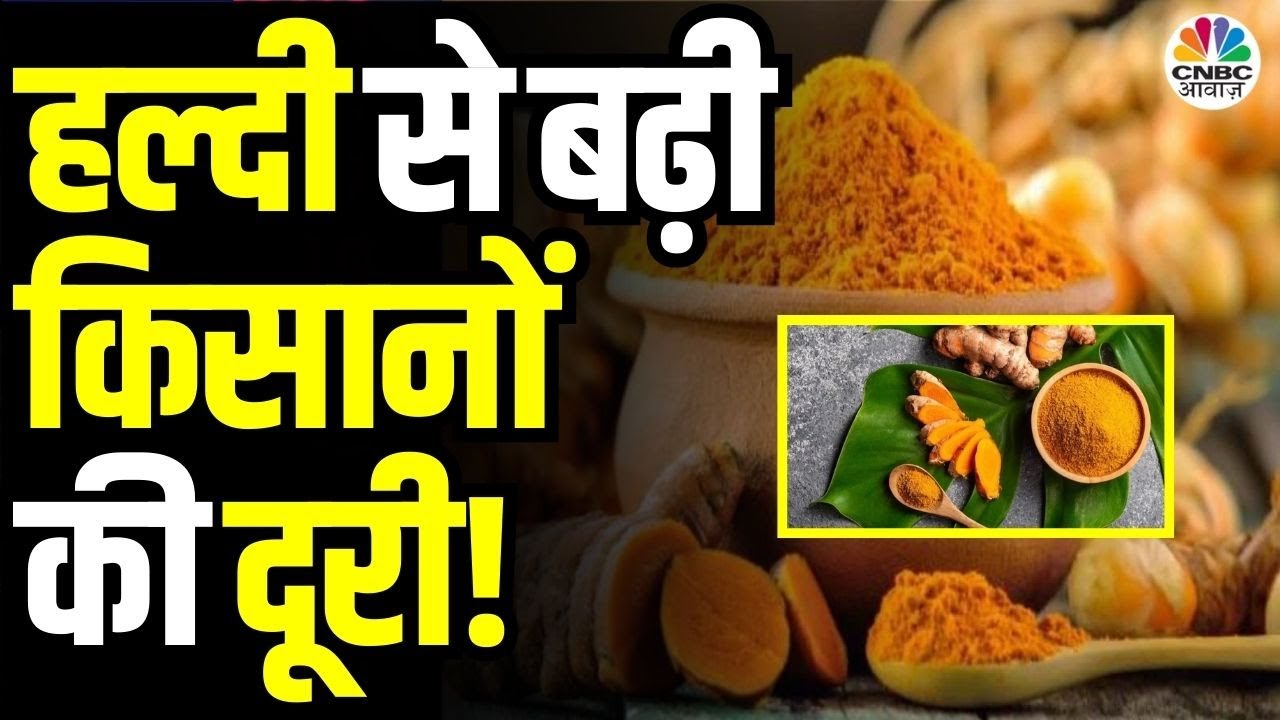 Turmeric Farming Struggles | हल्दी की खेती से किसानों की दूरी क्यों बढ़ रही है? | Turmeric Crisis