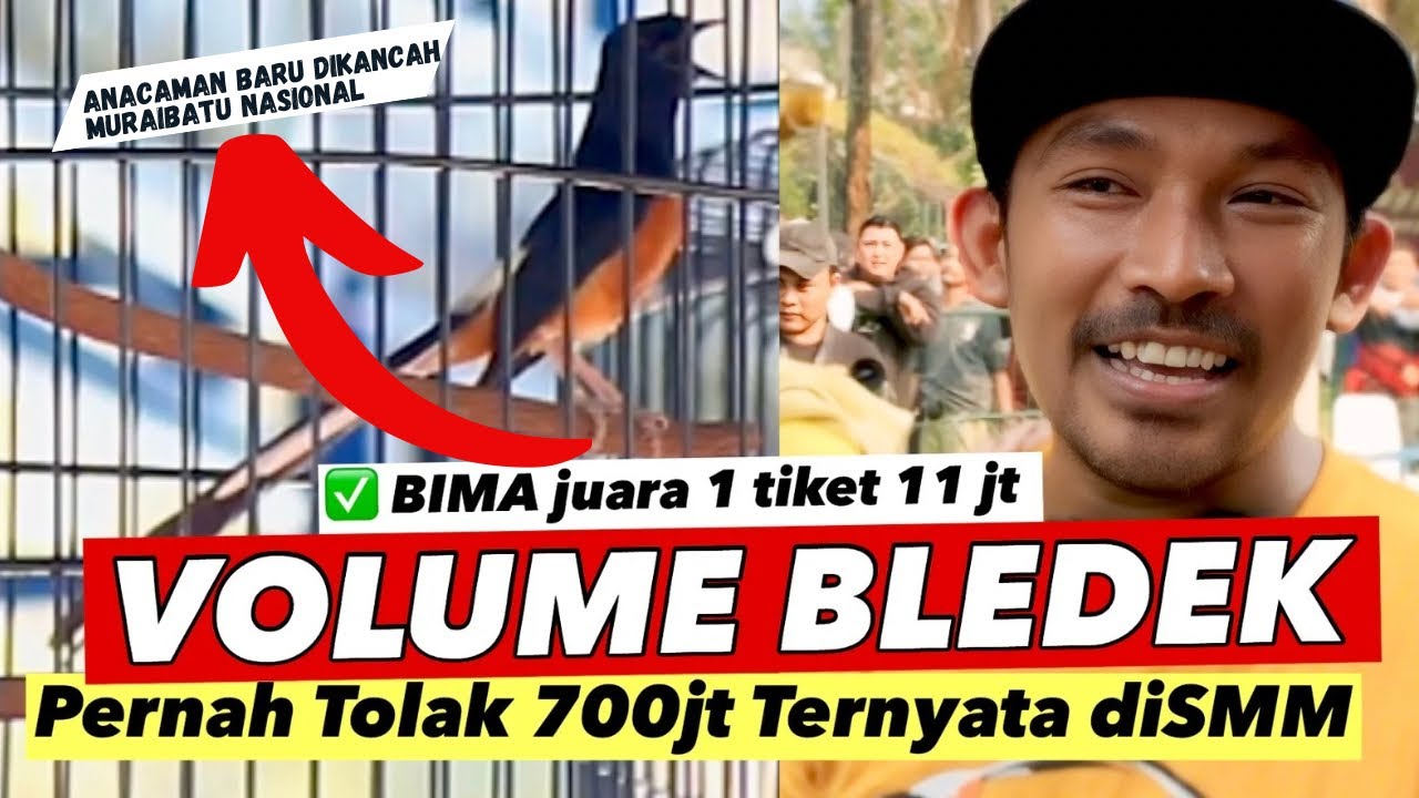SEMUA TERKEJUT‼️JUARA 1 TIKET 11jt MURAIBATU BIMA TARUNG KETEMU SINGOEDAN PIALA MASTERPIECE 2
