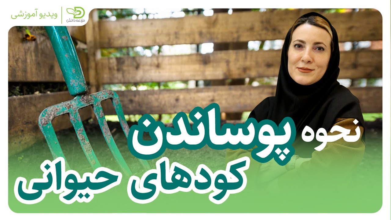 نحوه پوساندن کود حیوانی | روش پوساندن سریع کود حیوانی