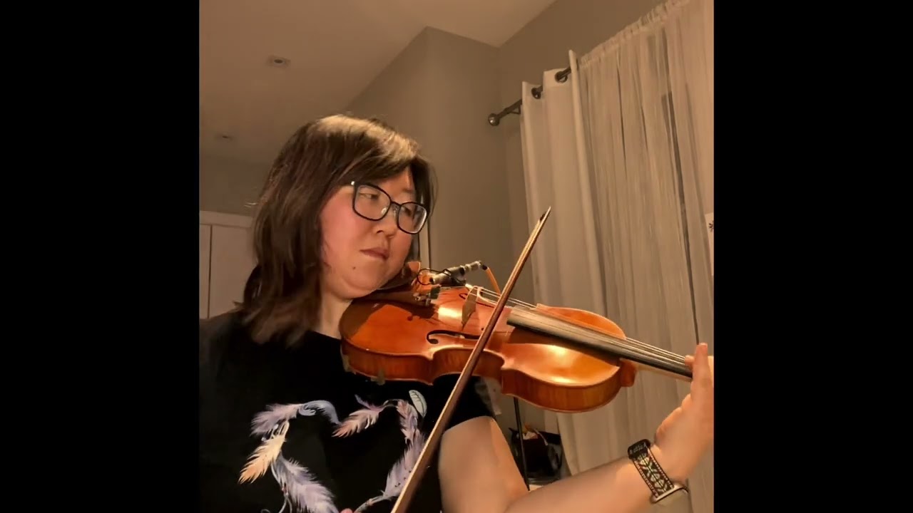Violin Cover - “Raindrops Keep Falling On My Head” ~ Burt Bacharach & Hal David