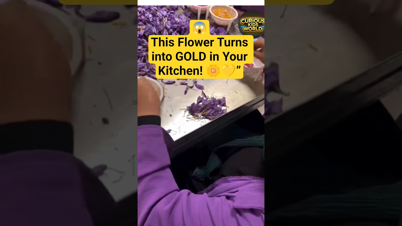 the world’s most expensive spice!” 🌸✨