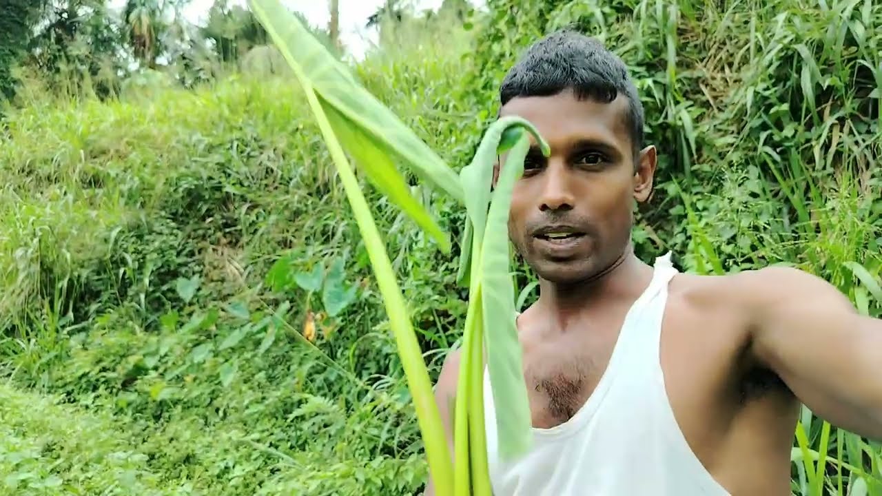 වෙලට ගිහින් අලගොබ ටිකක් හොයාගත්තා....#fyp #video #reels #villagelife #SinhalaVlog