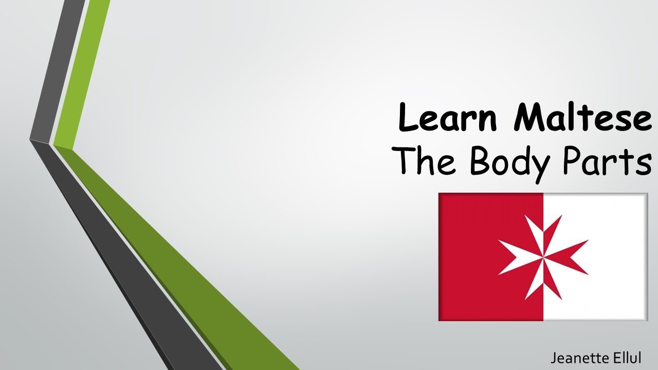 Learn Maltese - Exploring the Vocabulary of Body Parts