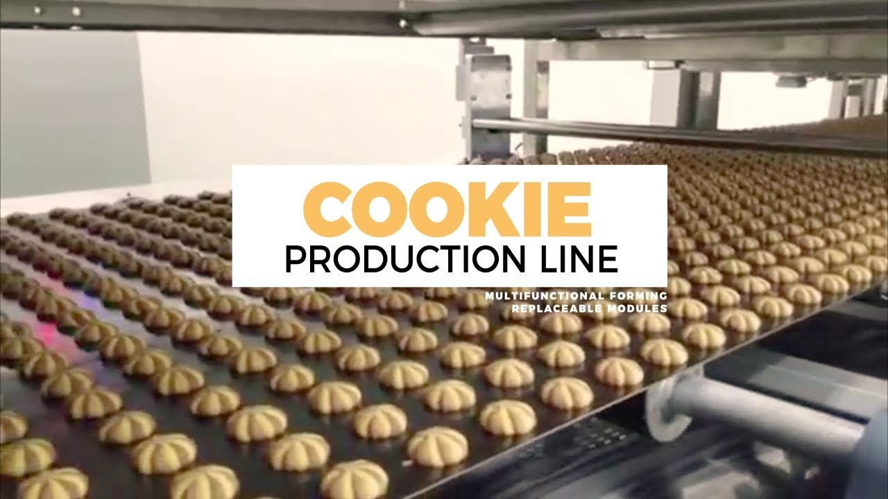 Cookie Production Line with Mulitifunctional Module