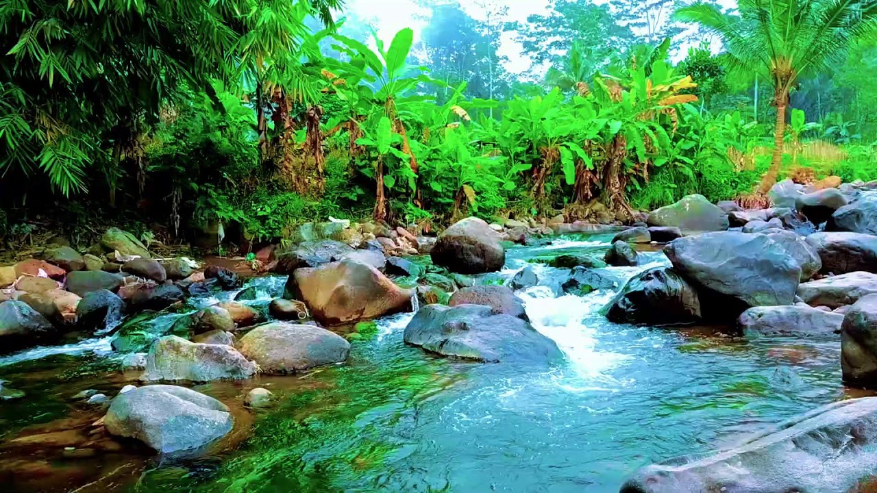 Flowing River Sounds for Deep Sleep and Stress Relief | Peaceful Nature White Noise Ambience