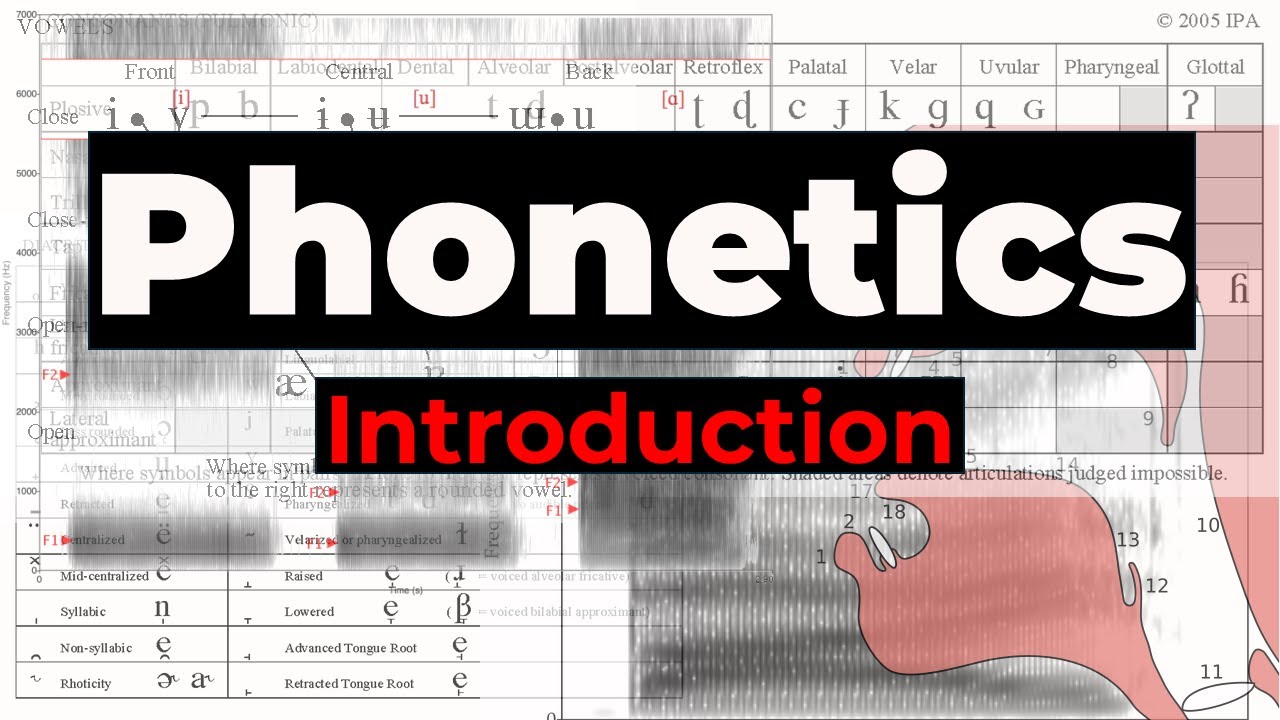 Introduction to Phonetics: Understanding the Basics