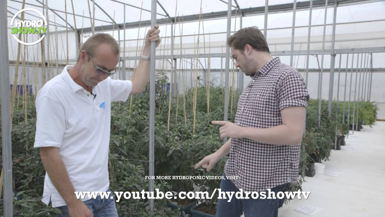 Autopot - Hydroshow TV interviews Jason at the Autopot Nurseries EXCLUSIVE