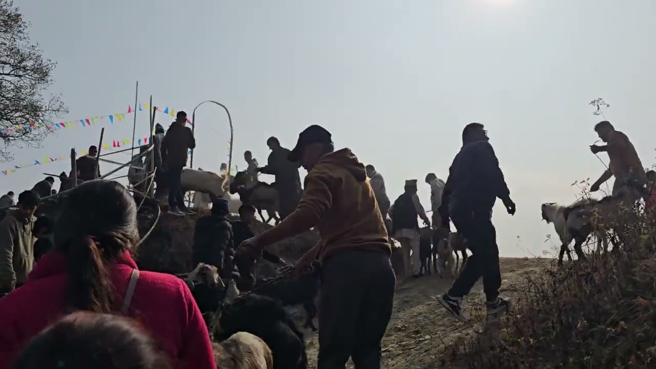 Adhikari kul puja ramechhap 2082.10.24