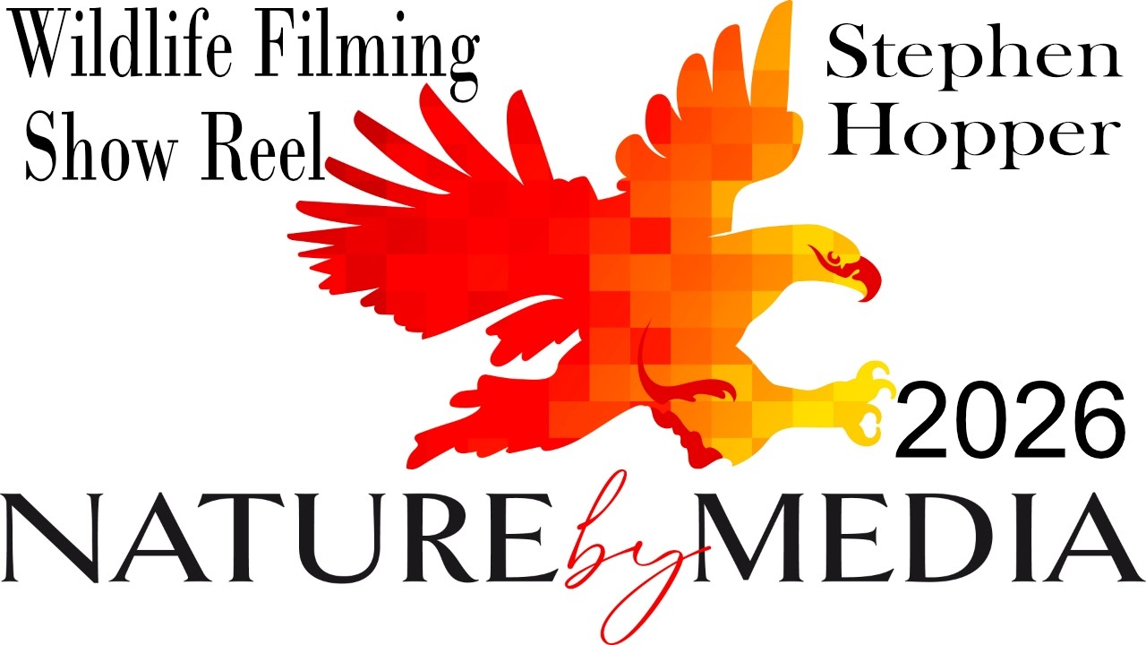 Nature by Media British Wildlife Filming Show Reel 2026 by Stephen Hopper
