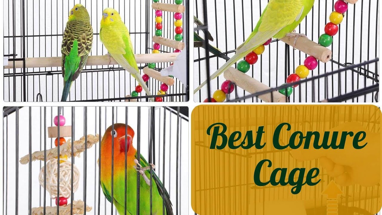 Best Conure Cage - Top Recommendations of 2021