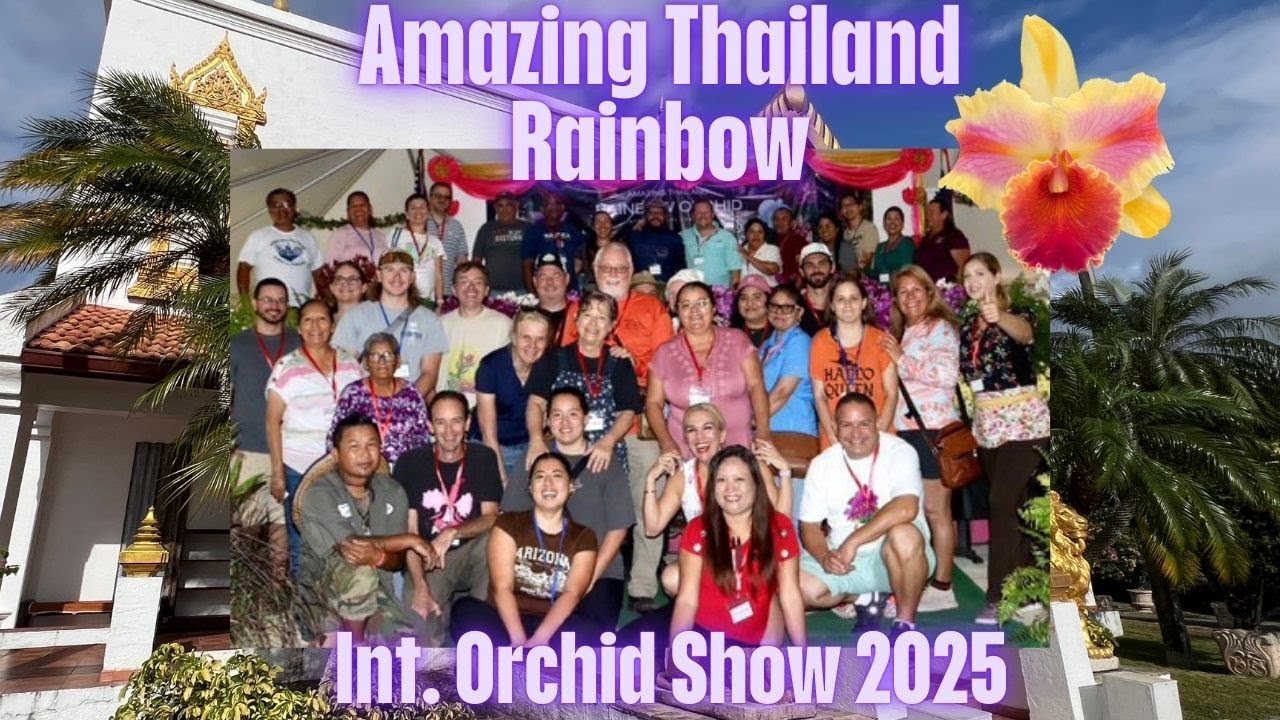 The Spectacular Debut of The Amazing Thailand Rainbow Orchid Show 2025