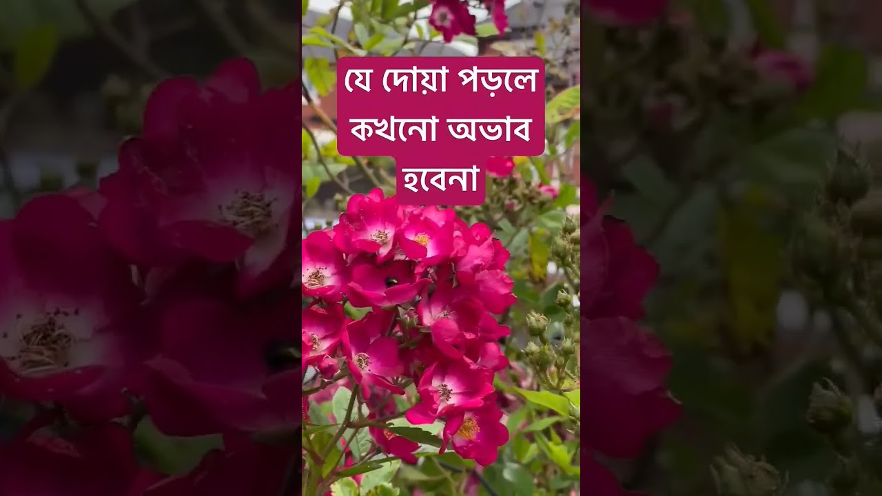 Jaduya porle rajker borkot hoy
