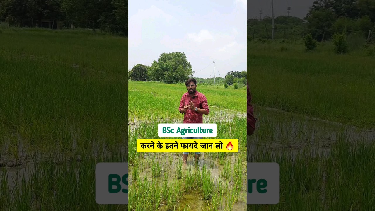Scope of BSc Agriculture 🔥 |Career option in BSc Ag