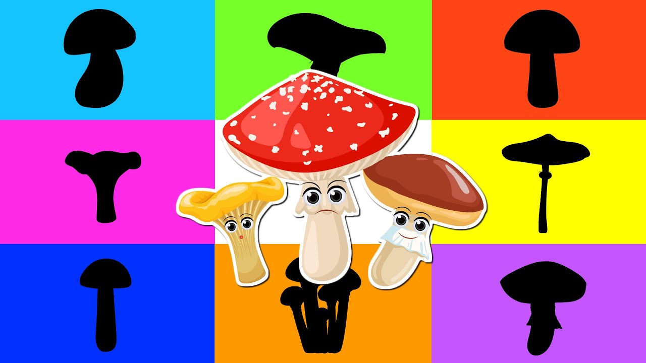 Dopasuj grzyby - Bajka edukacyjna - Grzybobranie dla dzieci