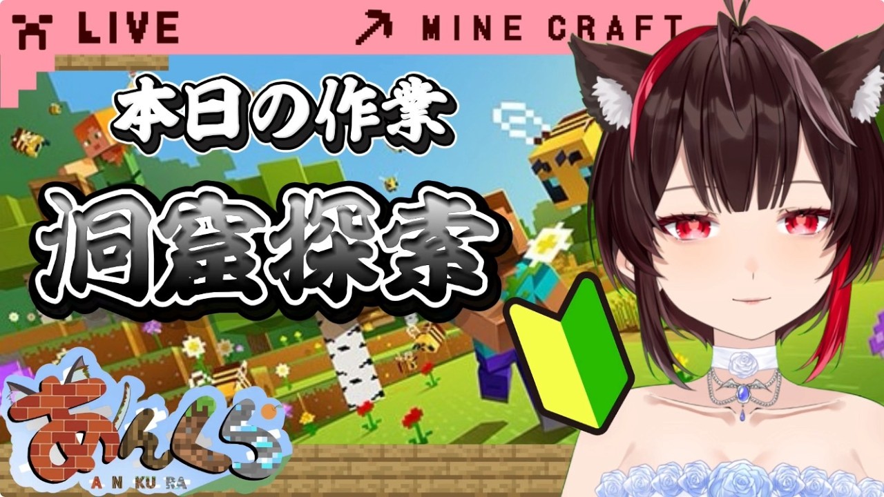 【#マインクラフト】のんびり色々と学びながらありあんの世界を作ろう！#マイクラ #minecraft #初心者