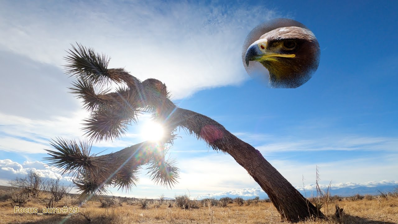 #29 FLOW OF AWARENESS｜Return to Now