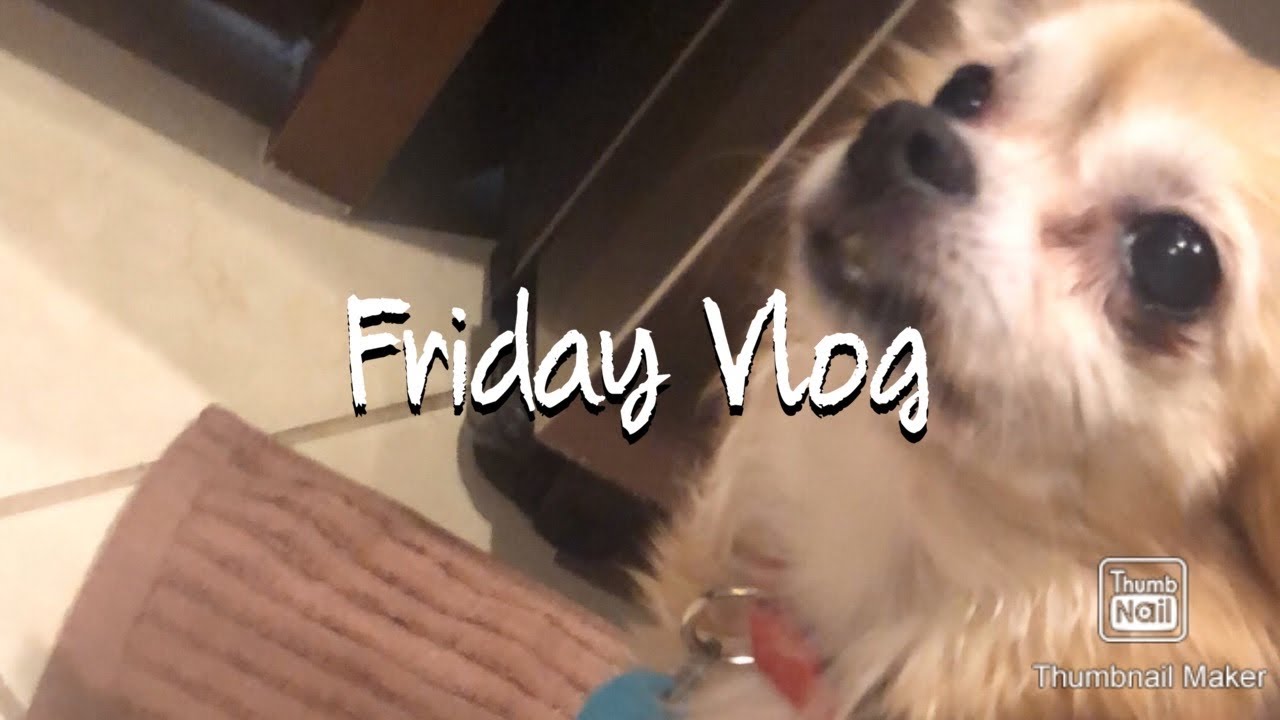 Friday Vlog #introduction2020 #julyvlog
