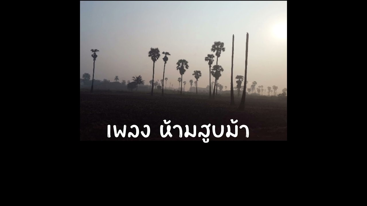 เพลง ห้ามสูบม้า