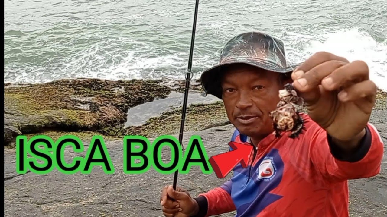 OURIÇO É ISCA É INFALÍVEL NA PESCARIA DE COSTEIRA PRA SARGO SAMANDUARA E PAMPO GUARAPARI ES PESCARIA