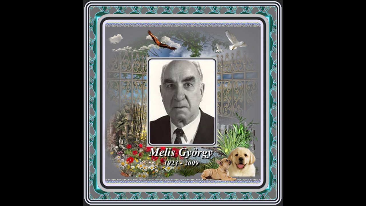 Melis György : Nem loptam én életembe