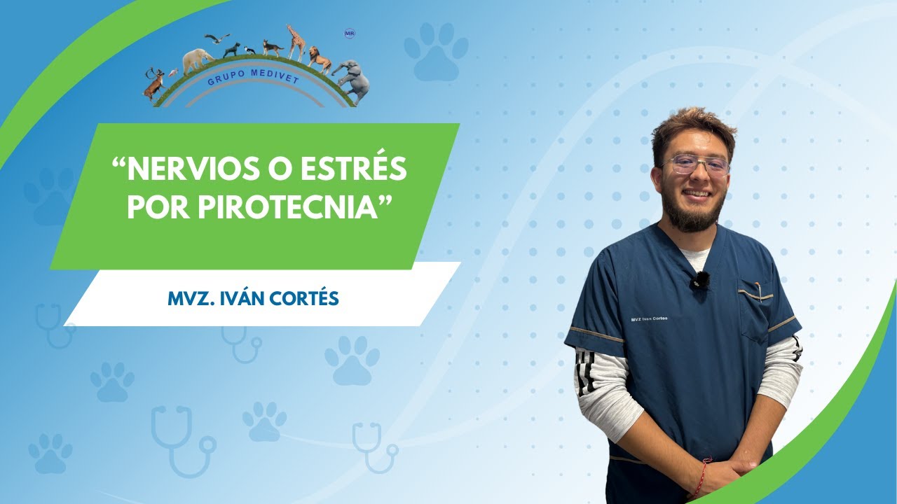Meditips - MVZ. Iván Cortés “Nervios  o estrés por pirotecnia” 🐾🎆