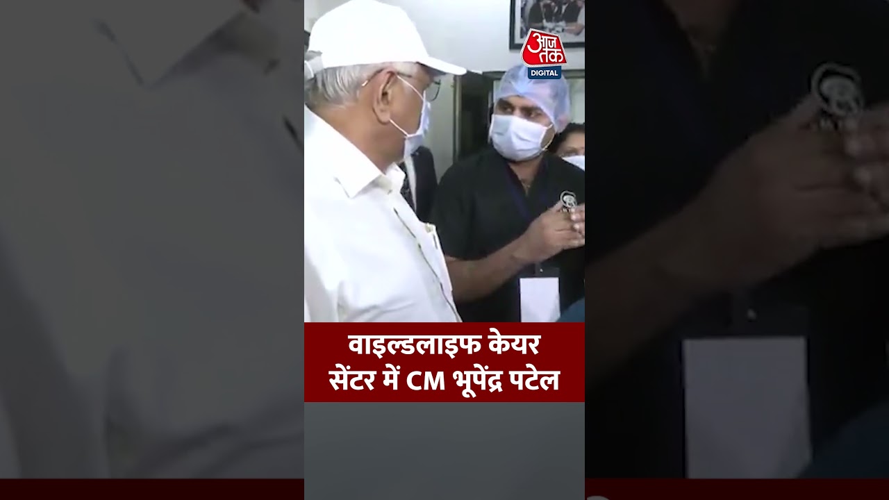 Bhupendra Patel: वाइल्डलाइफ केयर सेंटर में CM भूपेंद्र पटेल 