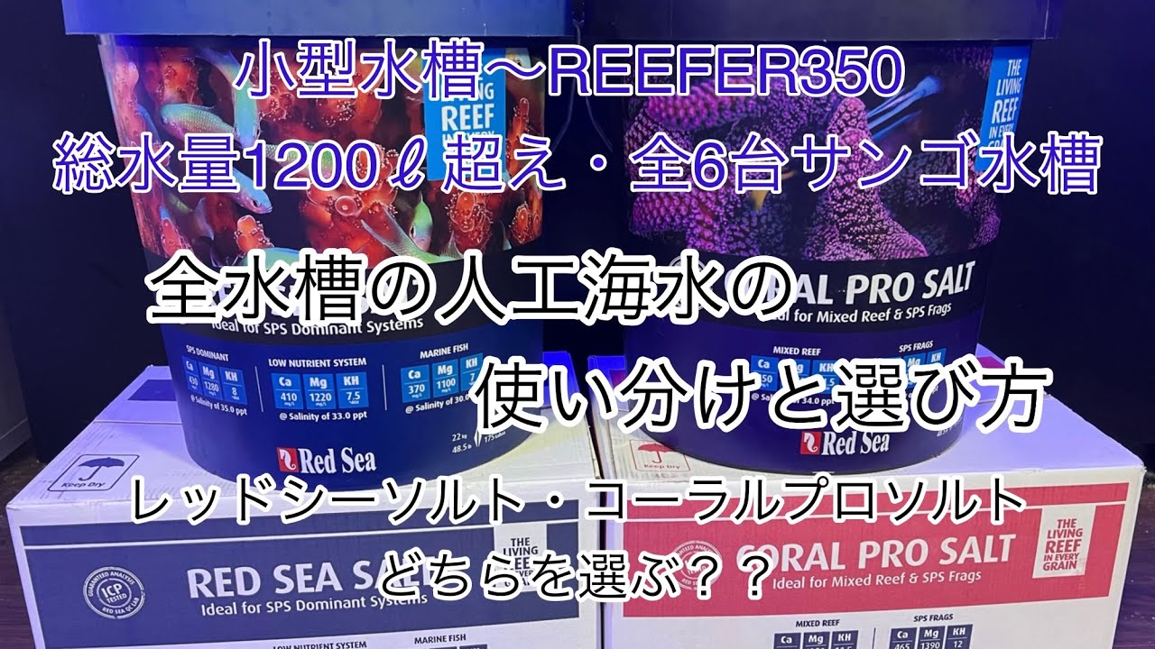 人工海水の使い分けと選び方　全サンゴ水槽6台での使い分け基準　レッドシーソルト　コーラルプロソルト　どちらを選ぶ？？　【マリンアクアリウム】【リーフアクアリウム】