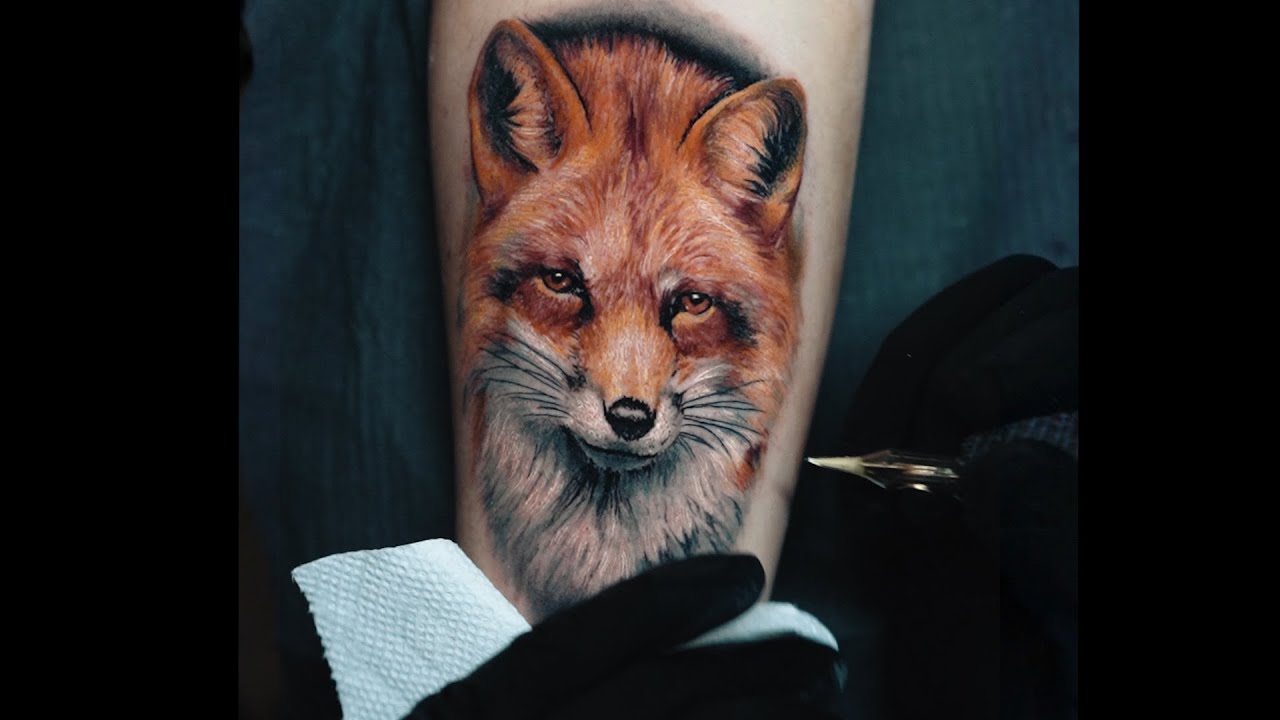 Fox by Darwin Enriquez