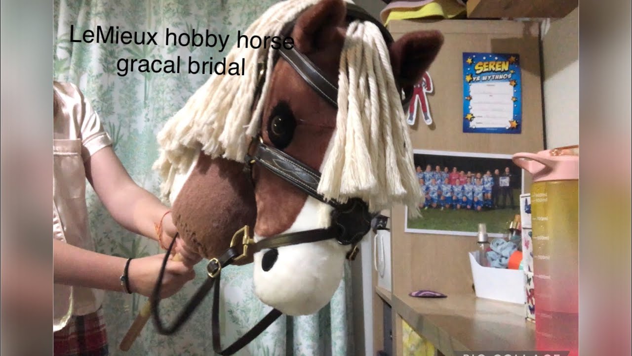 #1 .episode name how to put on a LeMieux hobby horse grackal bridal on.
