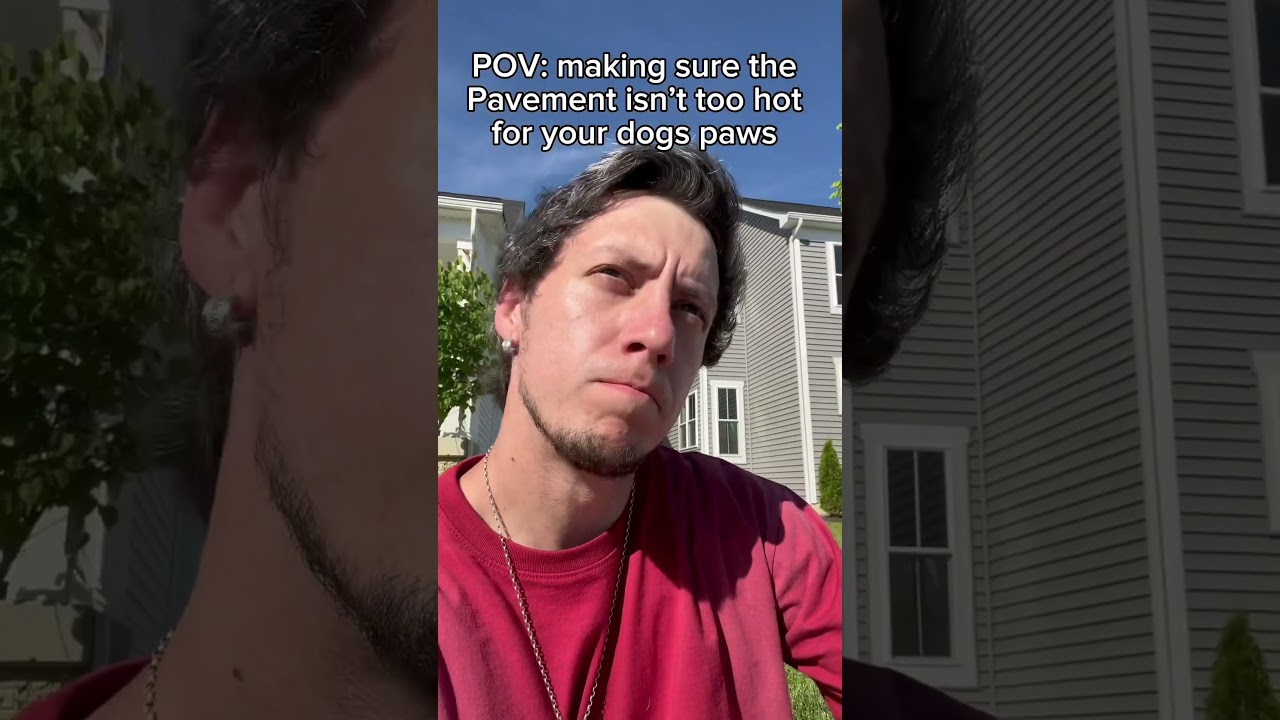 Protect our dog frito paws at all costs! #dog #dogdad #dogfunny #dogs #dogparents #goldenretriever