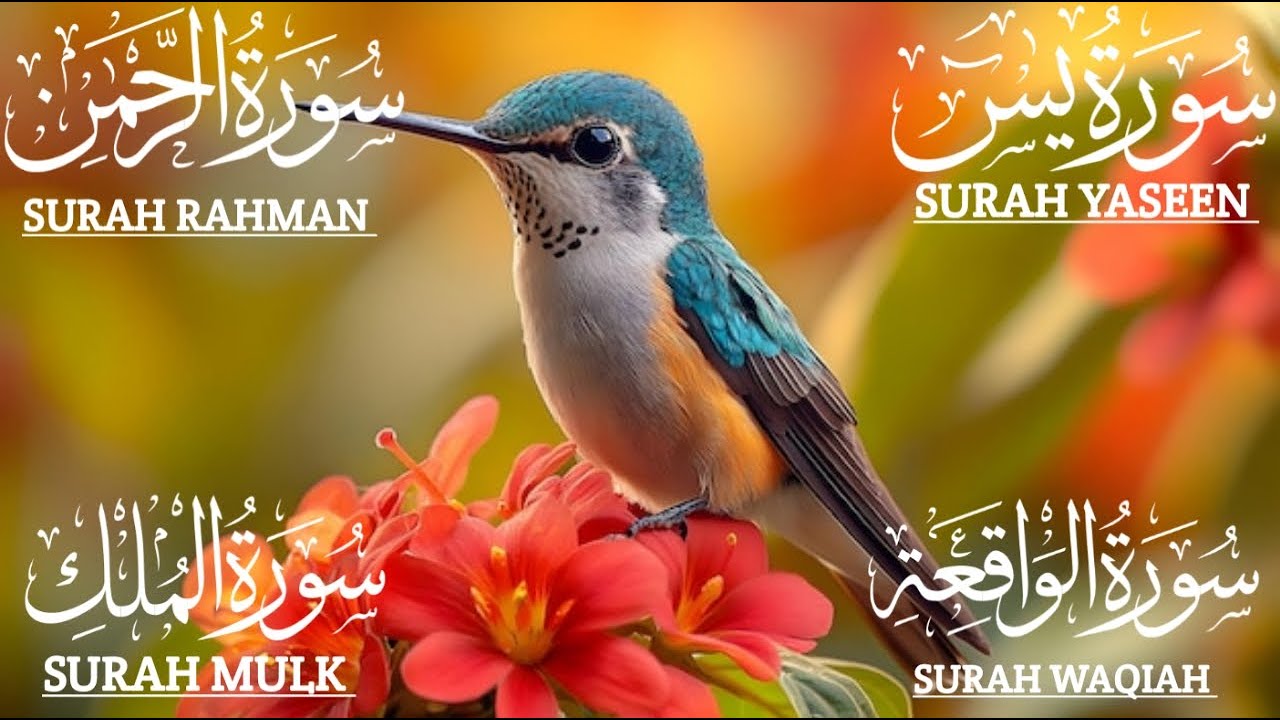 استمع بنية الرزق والبركة بإذن الله يس-الرحمن-الواقعة-الملكWaqiah🤲🏻Mulk💯Yaseen❤️Rahman  #qurantilawat