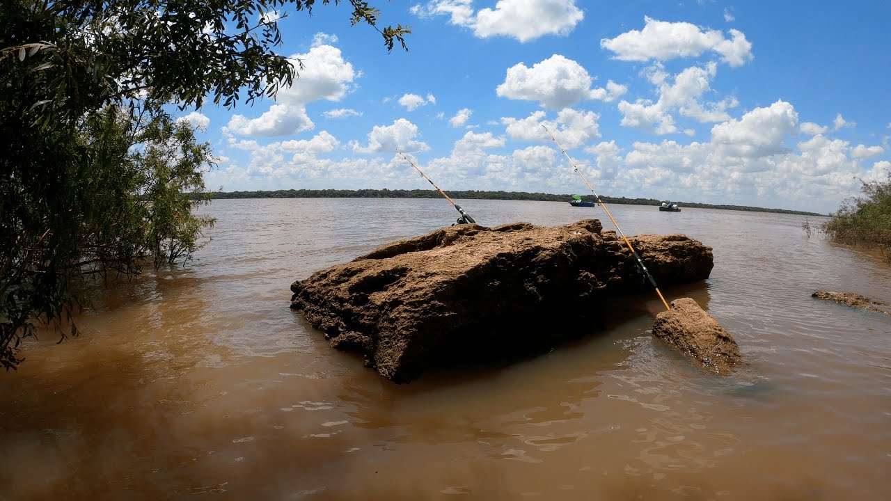 PESCA variada en la costa del Río Uruguay, Dorado, Bogas, Vieja del agua, Pesca de barrio, 2021