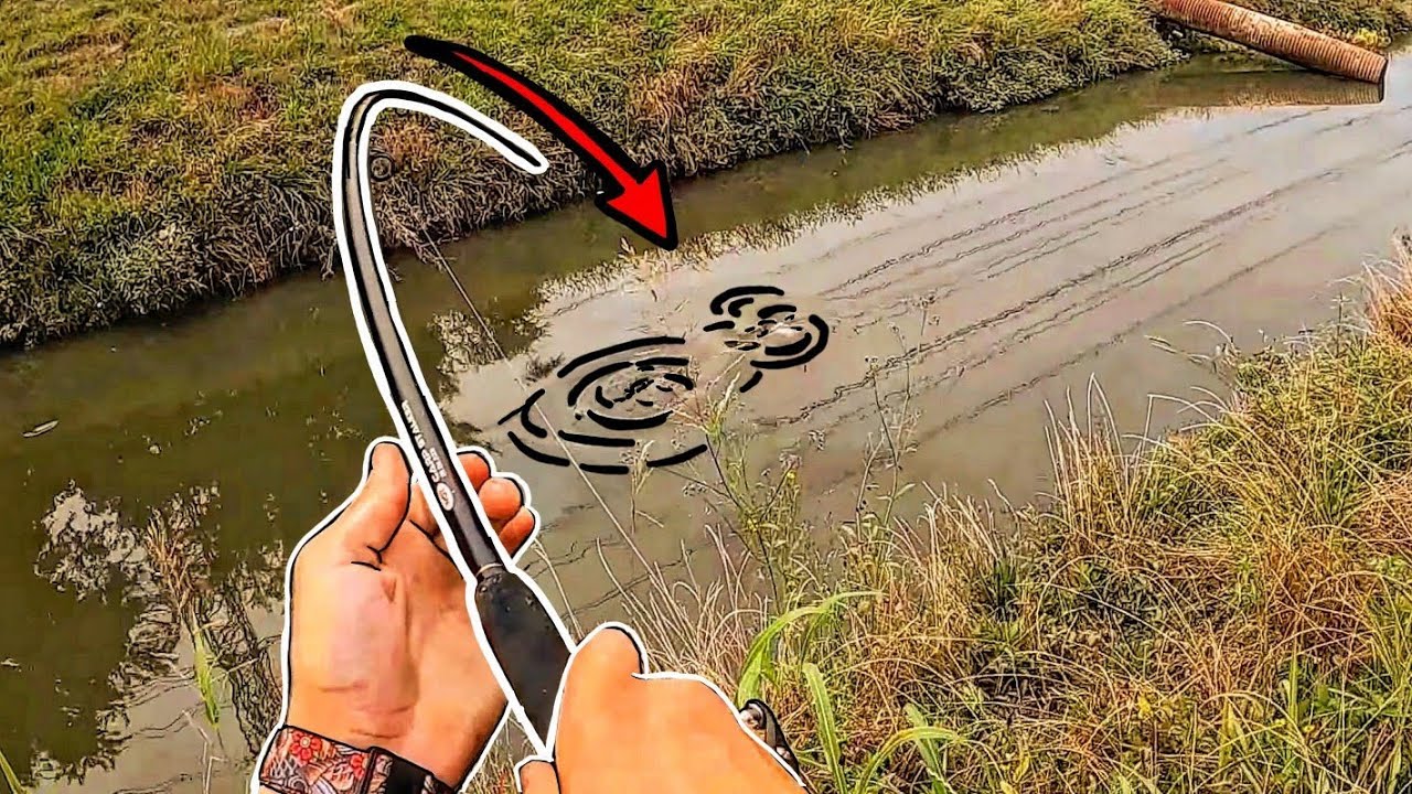 Why Are These Fish SO STRONG? (Houston's Best Creek Fishing Honey Hole!)