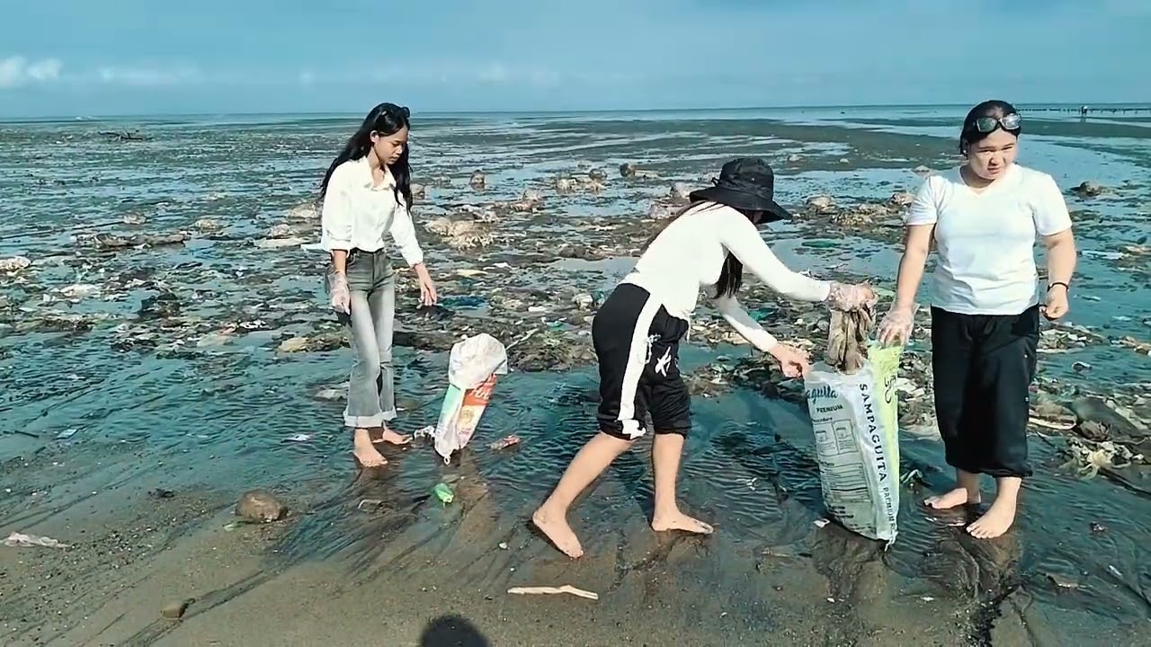 NSTP-CWTS COASTAL CLEAN UP DRIVE  MUSIC: The Travelling Symphony by Savfk (No Copyright Music)