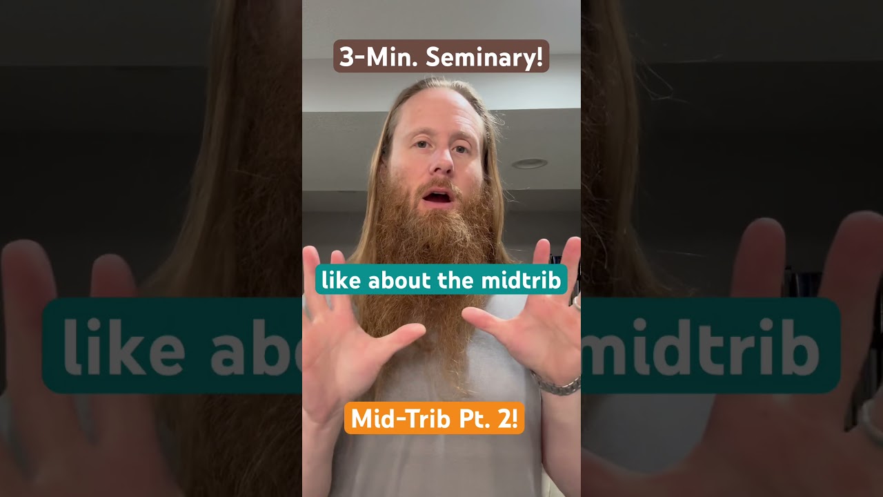 Mid-Trib Pt. 2 - What is God&rsquo;s Wrath? 3-Min. Seminary!