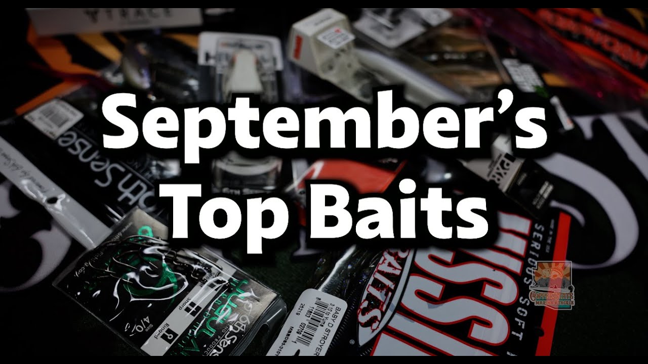 🎣 September’s Top Baits