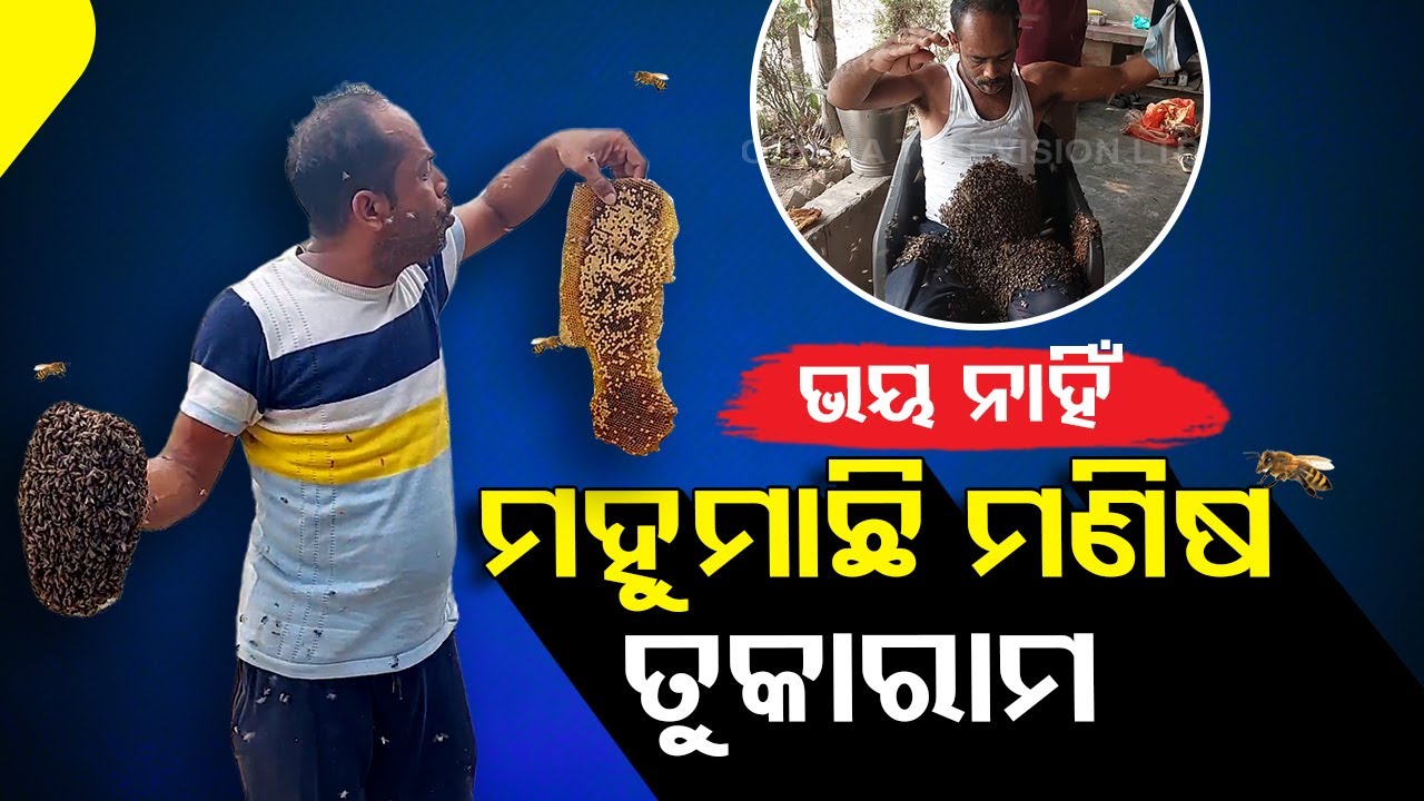 Special Story | Meet the Bee Man from Odisha