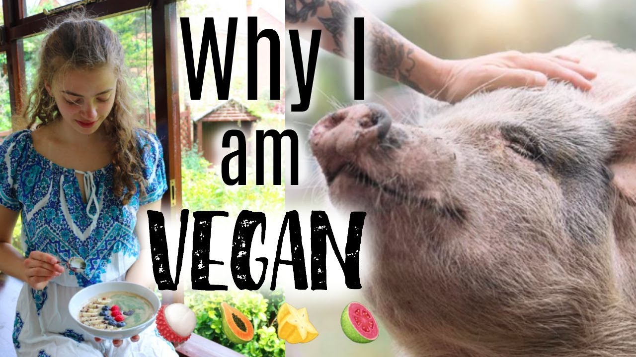 The Truth: Why I Went Vegan (non preachy!!) 🐷🍉✨