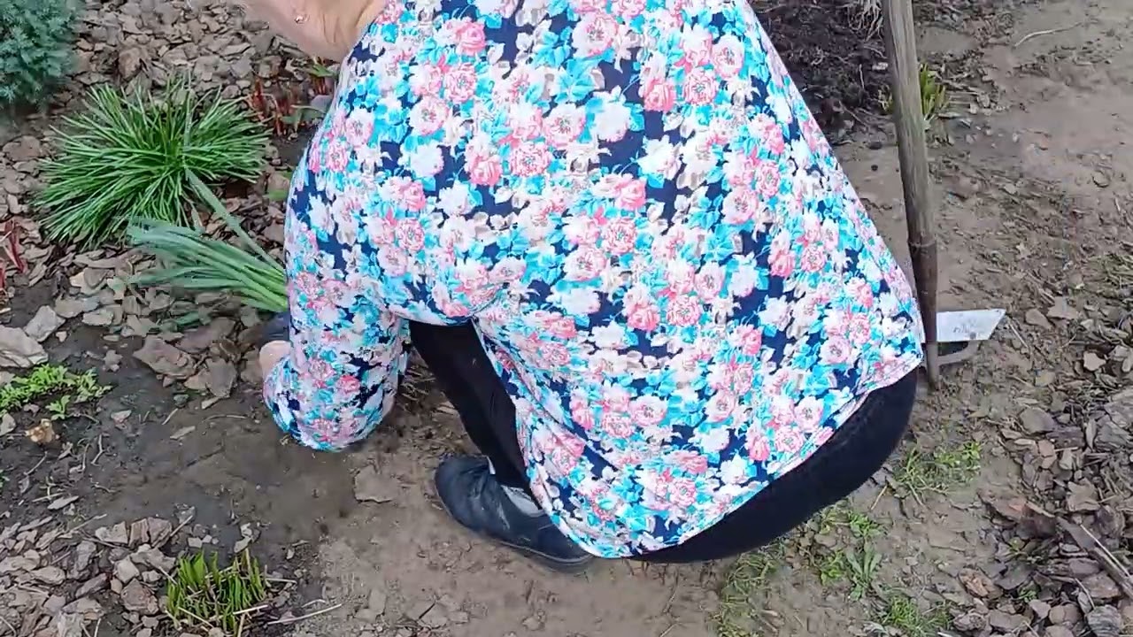 Квітничок. Весняна пересадка квітів.