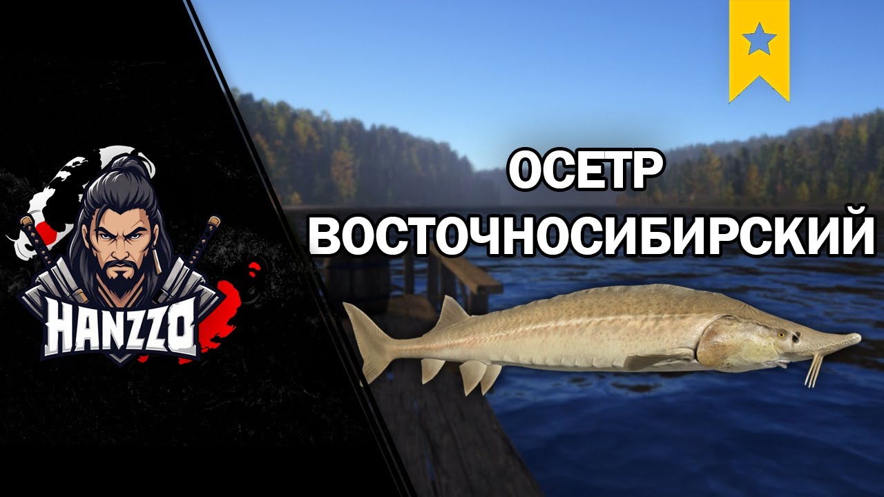 #RR4 Осетр восточносибирский