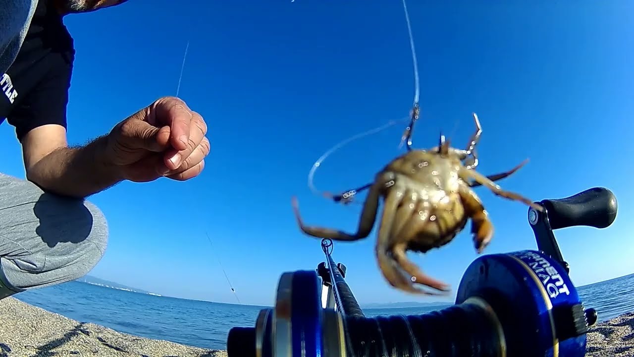 Daiwa 7ht Mag + Seawall Pro 4/8oz + Assetto Pesca