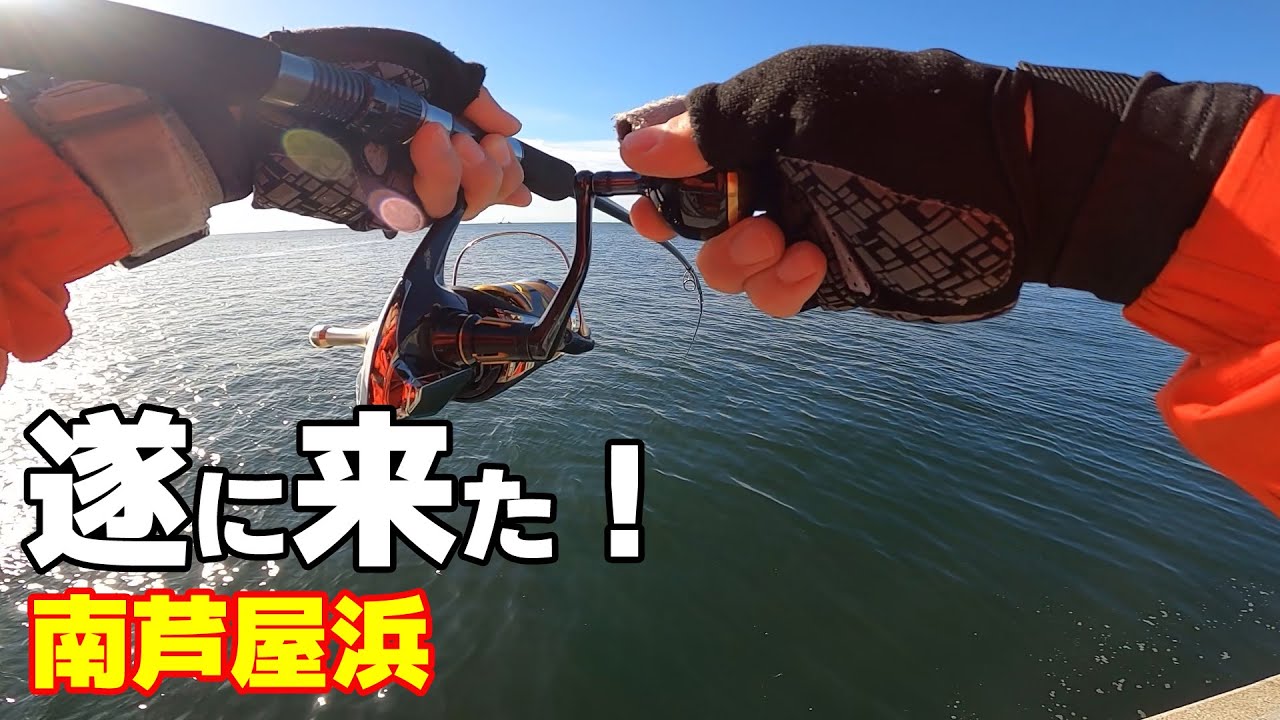 このルアーで青物来た 南芦屋浜でショアジギング