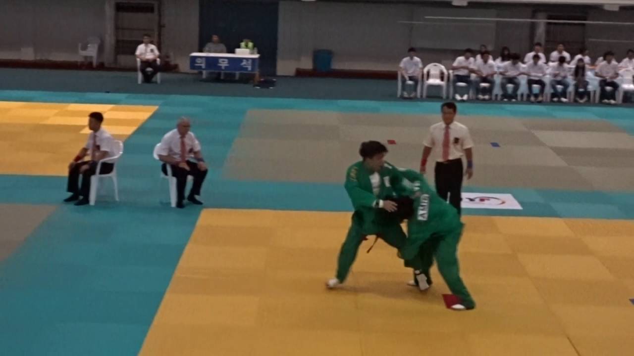 2nd International Yongmudo Championship 2016: Men -80kg Finals
