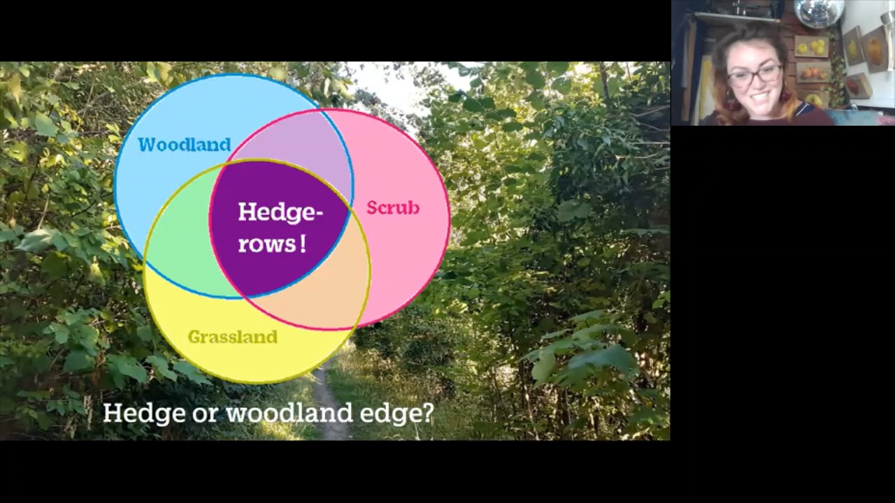 The Great British Hedgerow Survey with the Peoples Trust for Endangered Species