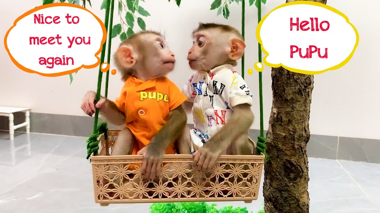 Monkey Puka is happy to see PuPu Monkey again