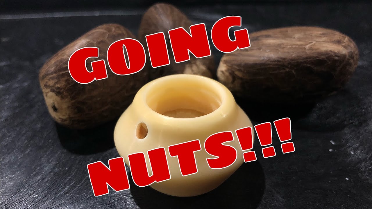 Feelin' Nutty For Tagua Nuts!!!