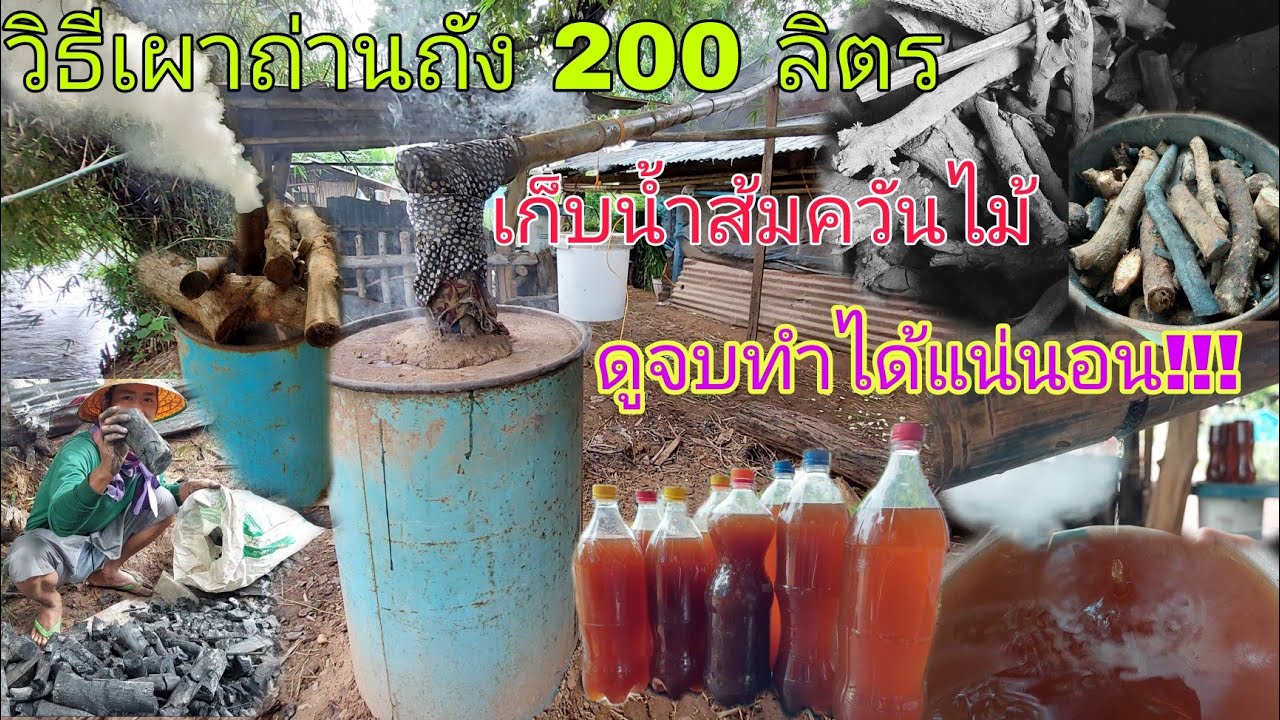 เผาถ่านถัง 200 ลิตร เก็บน้ำส้มควันไม้ ดูจบทำได้แน่นอน!!